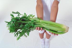 バリエーション豊富な宅配弁当を扱う会社