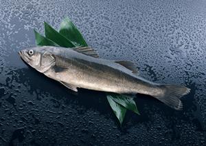 高品質なしゃぶしゃぶギフトで特別なひとときを演出する方法