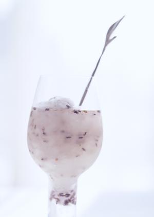 京都四条烏丸 – シェイクシャック Shake Shack: モダンと伝統が融合した新しいハンバーガー体験