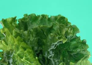 越谷ミート酒場ビンゴ:熟成肉を楽しめる南越谷の人気ダイニング